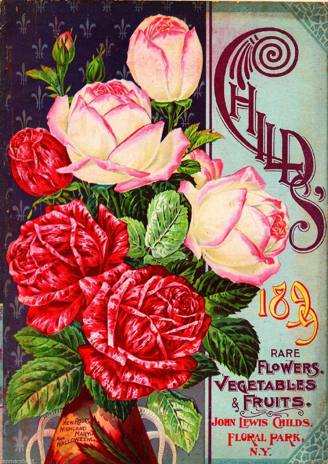 Amazon.com: A SLICE IN TIME 1899 Child's Rose Vintage Flowers Seed